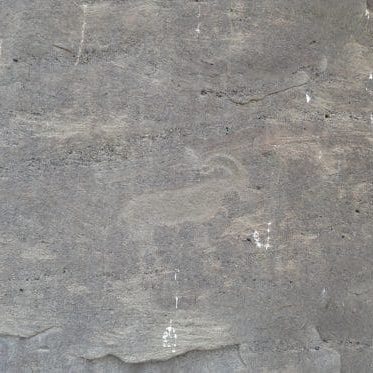 A petroglyph of a goat with curved horns is carved into a flat, light-colored rock surface.